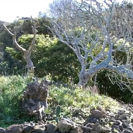 Holiday home Mountain Hideaway Almas (Graciosa)