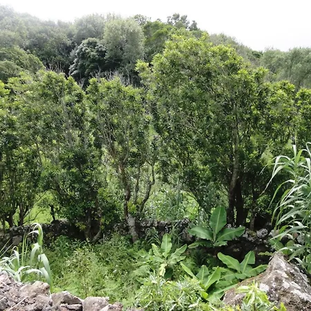 Mountain Hideaway * Almas (Graciosa)