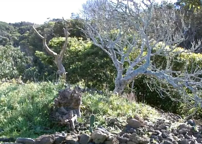 Σπίτι διακοπών Mountain Hideaway Almas (Graciosa)