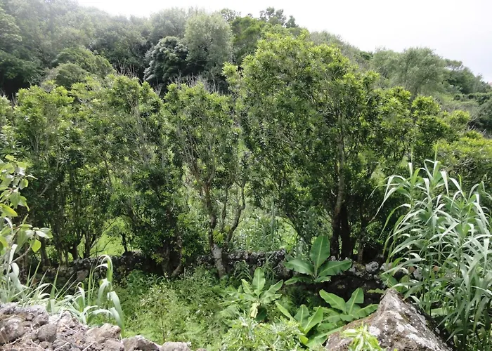 Mountain Hideaway * Almas (Graciosa)